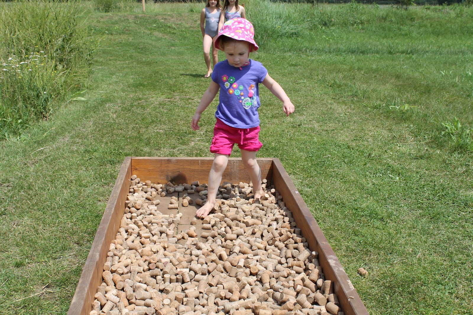 Tree Family Barefoot Park