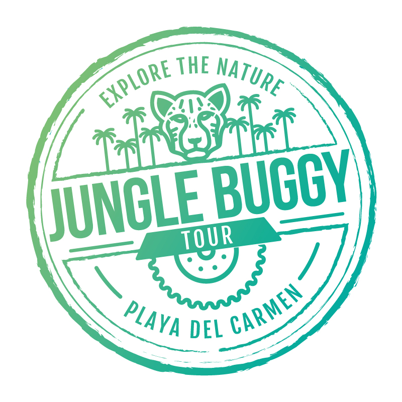 HALF DAY BUGGY TOUR — Jungle Buggy Tour